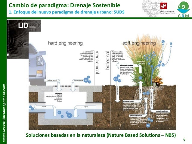 cambio-de-paradigma-los-sistemas-urbanos-de-drenaje-sostenible-suds