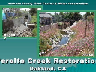 Peralta Creek Restoration Oakland, CA Alameda County Flood Control & Water Conservation District BEFORE AFTER 