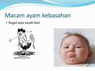 Macam ayam kebasahan
 Sugul atau susah hati
 