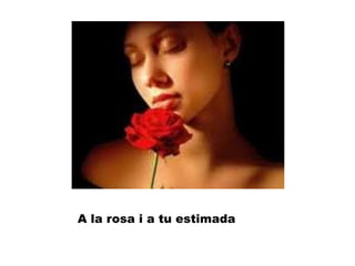 A la rosa i a tu estimada
 
