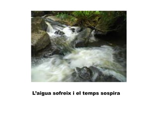 L’aigua sofreix i el temps sospira
 