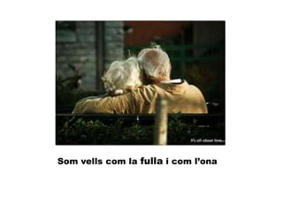 Som vells com la fulla i com l’ona
 