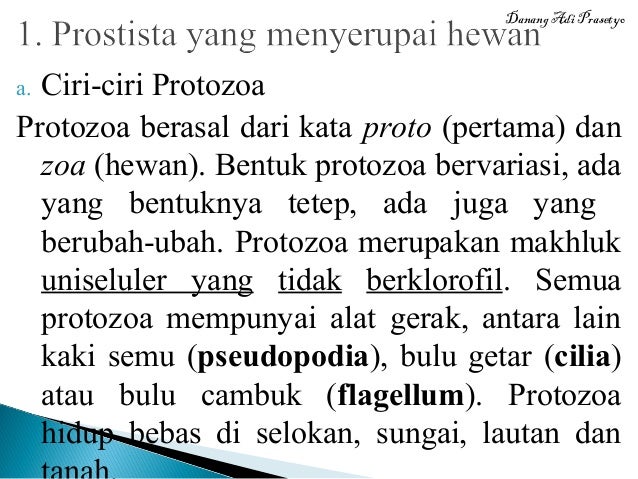 Peranan Mikroorganisme