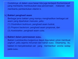 Contohnya ,di dalam usus besar kita juga terdapat  Eschericiacoli  yang membantu membusukan sisa pencernaan  makanan  dan membantu pembentukan vitamin k.  b.]  Bakteri penghasil asam Berbagai jenis bakteri yang mampu menghasilkan berbagai zat asam yang diperlukan manusia ,yaitu: (1)  Clostridium butiricum , penghasil asam butirat, (2)  Propioni bacterium , penghasil asam propionat, dan (3)  Acetobakter , penghasil asam cuka. c.]  Bakteri dalam pemrosesan susu. Bakteri  Lactobacillus bulgaricus  dapat digunakan untuk membuat yoghurt ,yaitu sejenis minuman dari bahan susu.  Disamping  itu,  bakteri ini menyekresikan zat  yang  memberikan  aroma  sedap pada susu.  