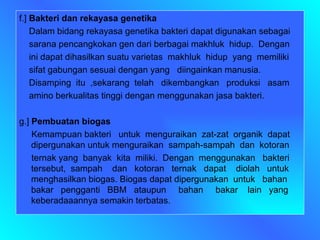 f.]  Bakteri dan rekayasa genetika Dalam bidang rekayasa genetika bakteri dapat digunakan sebagai sarana pencangkokan gen dari berbagai makhluk  hidup.  Dengan ini dapat dihasilkan suatu varietas  makhluk  hidup  yang  memiliki  sifat gabungan sesuai dengan yang  diingainkan manusia. Disamping  itu  ,sekarang  telah  dikembangkan  produksi  asam  amino berkualitas tinggi dengan menggunakan jasa bakteri. g.]  Pembuatan biogas Kemampuan bakteri  untuk  menguraikan  zat-zat  organik  dapat dipergunakan untuk menguraikan  sampah-sampah  dan  kotoran  ternak yang  banyak  kita  miliki.  Dengan  menggunakan  bakteri tersebut,  sampah  dan  kotoran  ternak  dapat  diolah  untuk menghasilkan biogas. Biogas dapat dipergunakan  untuk  bahan bakar  pengganti  BBM  ataupun  bahan  bakar  lain  yang keberadaaannya semakin terbatas. 