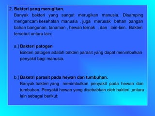 2.  Bakteri yang merugikan . Banyak  bakteri  yang  sangat  merugikan  manusia.  Disamping mengancam kesehatan  manusia  , juga  merusak  bahan  pangan  bahan bangunan, tanaman , hewan ternak  , dan  lain-lain.  Bakteri tersebut antara lain: a.]  Bakteri patogen Bakteri patogen adalah bakteri parasit yang dapat menimbulkan penyakit bagi manusia. b.]  Baketri parasit pada hewan dan tumbuhan. Banyak bakteri yang  menimbulkan  penyakit  pada  hewan  dan tumbuhan. Penyakit hewan yang disebabkan oleh bakteri ,antara  lain sebagai berikut: 