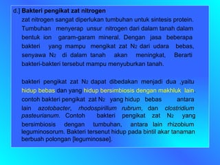d.]  Bakteri pengikat zat nitrogen  zat nitrogen sangat diperlukan tumbuhan untuk sintesis protein. Tumbuhan  menyerap  unsur  nitrogen dari dalam tanah dalam  bentuk  ion  garam-garam  mineral.  Dengan  jasa  beberapa  bakteri  yang  mampu  mengikat  zat  N 2  dari  udara  bebas,  senyawa  N 2  di  dalam  tanah  akan  meningkat,  Berarti  bakteri-bakteri tersebut mampu menyuburkan tanah. bakteri  pengikat  zat  N 2  dapat  dibedakan  menjadi  dua  ,yaitu  hidup bebas  dan yang  hidup bersimbiosis dengan makhluk  lain . contoh bakteri pengikat  zat N 2  yang hidup  bebas  antara  lain  azotobacter ,  rhodospirillum  rubrum ,  dan  clostridium pasteurianum .  Contoh  bakteri  pengikat  zat  N 2  yang  bersimbiosis  dengan  tumbuhan,  antara  lain  rhizobium leguminosorum. Bakteri tersenut hidup pada bintil akar tanaman berbuah polongan [leguminosae]. 