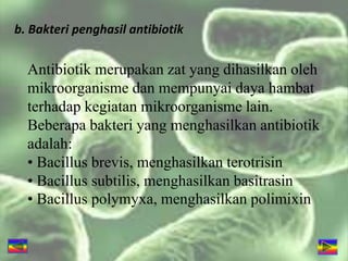 b. Bakteri penghasil antibiotik
Antibiotik merupakan zat yang dihasilkan oleh
mikroorganisme dan mempunyai daya hambat
terhadap kegiatan mikroorganisme lain.
Beberapa bakteri yang menghasilkan antibiotik
adalah:
• Bacillus brevis, menghasilkan terotrisin
• Bacillus subtilis, menghasilkan basitrasin
• Bacillus polymyxa, menghasilkan polimixin
 