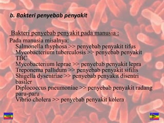 b. Bakteri penyebab penyakit
Bakteri penyebab penyakit pada manusia :
Pada manusia misalnya:
Salmonella thyphosa >> penyebab penyakit tifus
Mycobacterium tuberculosis >> penyebab penyakit
TBC
Mycobacterium leprae >> penyebab penyakit lepra
Treponema pallidum >> penyebab penyakit sifilis
Shigella dysentriae >> penyebab penyakit disentri
basiler
Diplococcus pneumoniae >> penyebab penyakit radang
paru-paru
Vibrio cholera >> penyebab penyakit kolera
 