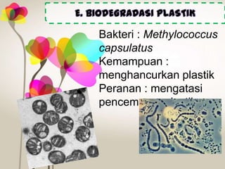 E. BIODEGRADASI PLASTIK

Bakteri : Methylococcus
capsulatus
Kemampuan :
menghancurkan plastik
Peranan : mengatasi
pencemaran plastik

 