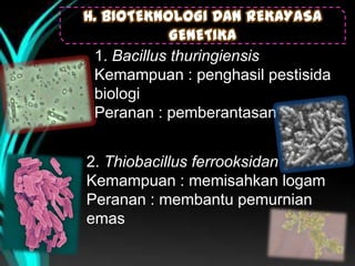 H. BIOTEKNOLOGI DAN REKAYASA
GENETIKA
1. Bacillus thuringiensis
Kemampuan : penghasil pestisida
biologi
Peranan : pemberantasan hama
2. Thiobacillus ferrooksidan
Kemampuan : memisahkan logam
Peranan : membantu pemurnian
emas

 