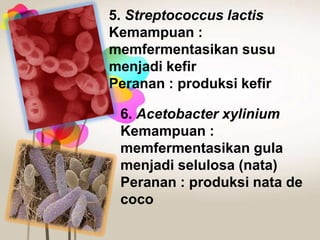 5. Streptococcus lactis
Kemampuan :
memfermentasikan susu
menjadi kefir
Peranan : produksi kefir
6. Acetobacter xylinium
Kemampuan :
memfermentasikan gula
menjadi selulosa (nata)
Peranan : produksi nata de
coco

 