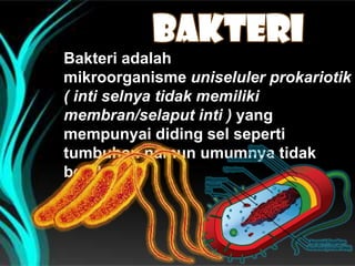 Bakteri adalah
mikroorganisme uniseluler prokariotik
( inti selnya tidak memiliki
membran/selaput inti ) yang
mempunyai diding sel seperti
tumbuhan namun umumnya tidak
berklorofil

 