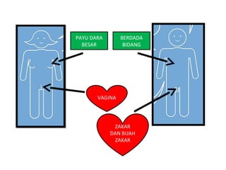 PAYU DARA
BESAR
BERDADA
BIDANG
VAGINA
ZAKAR
DAN BUAH
ZAKAR
 