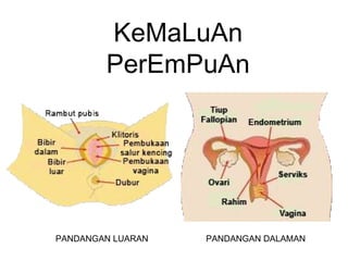 KeMaLuAn
PerEmPuAn
PANDANGAN LUARAN PANDANGAN DALAMAN
 