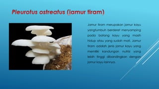 Manfaat jamur neurospora crassa