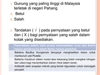 1. Gunung yang paling tinggi di Malaysia
terletak di negeri Pahang
A. Betul
B. Salah
2. Tandakan ( √ ) pada pernyataan yang betul
dan ( X ) bagi pernyataan yang salah dalam
kotak yang disediakan.
Pemindahan embrio ialah proses memindahkan ovum dari Rahim
haiwan penderma ke dalam Rahim haiwan penerima.
Bakteria Bacillus thungiensis berupaya menghasilkan toksin untuk
membunuh ulat Plutella
Bakteria rhizobium dalam modul akar kekacang boleh mengikat nitrogen
dari udara bagi menambahkan bahan nitrat dalam tanah.
Antibiotik ialah ampaian mikrob yang lemah digunakan untuk mencegah
penyakit.
 