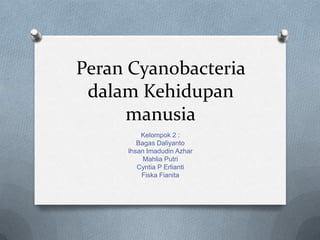 Peran Cyanobacteria
dalam Kehidupan
manusia
Kelompok 2 :
Bagas Daliyanto
Ihsan Imadudin Azhar
Mahlia Putri
Cyntia P Erlianti
Fiska Fianita

 