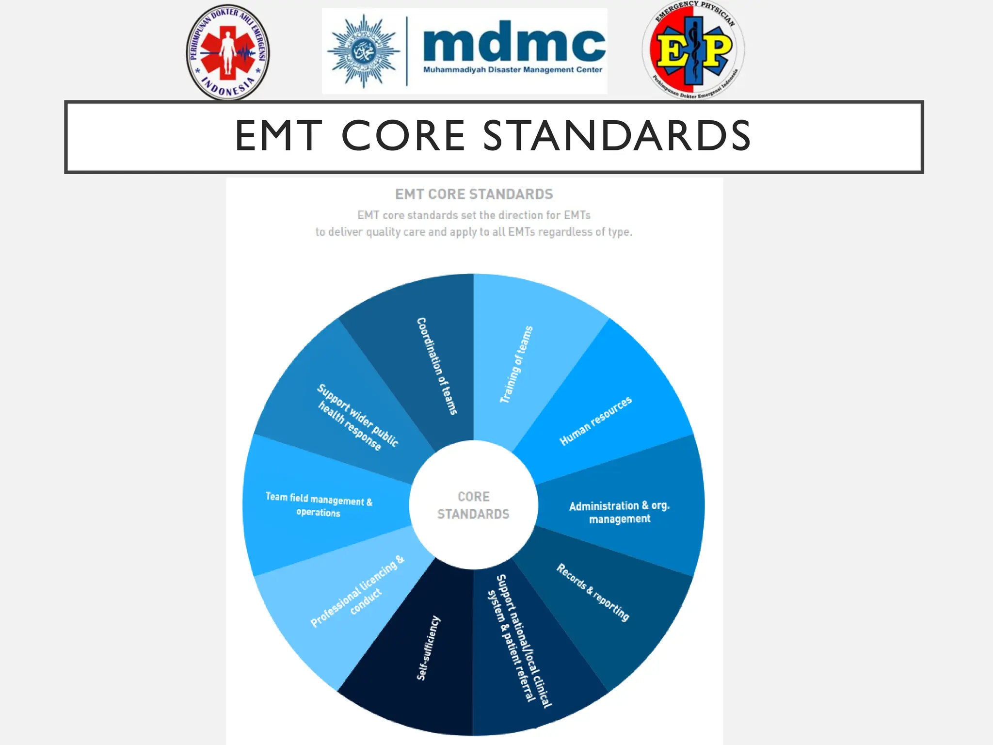role of emergency medical team during disaster | PDF