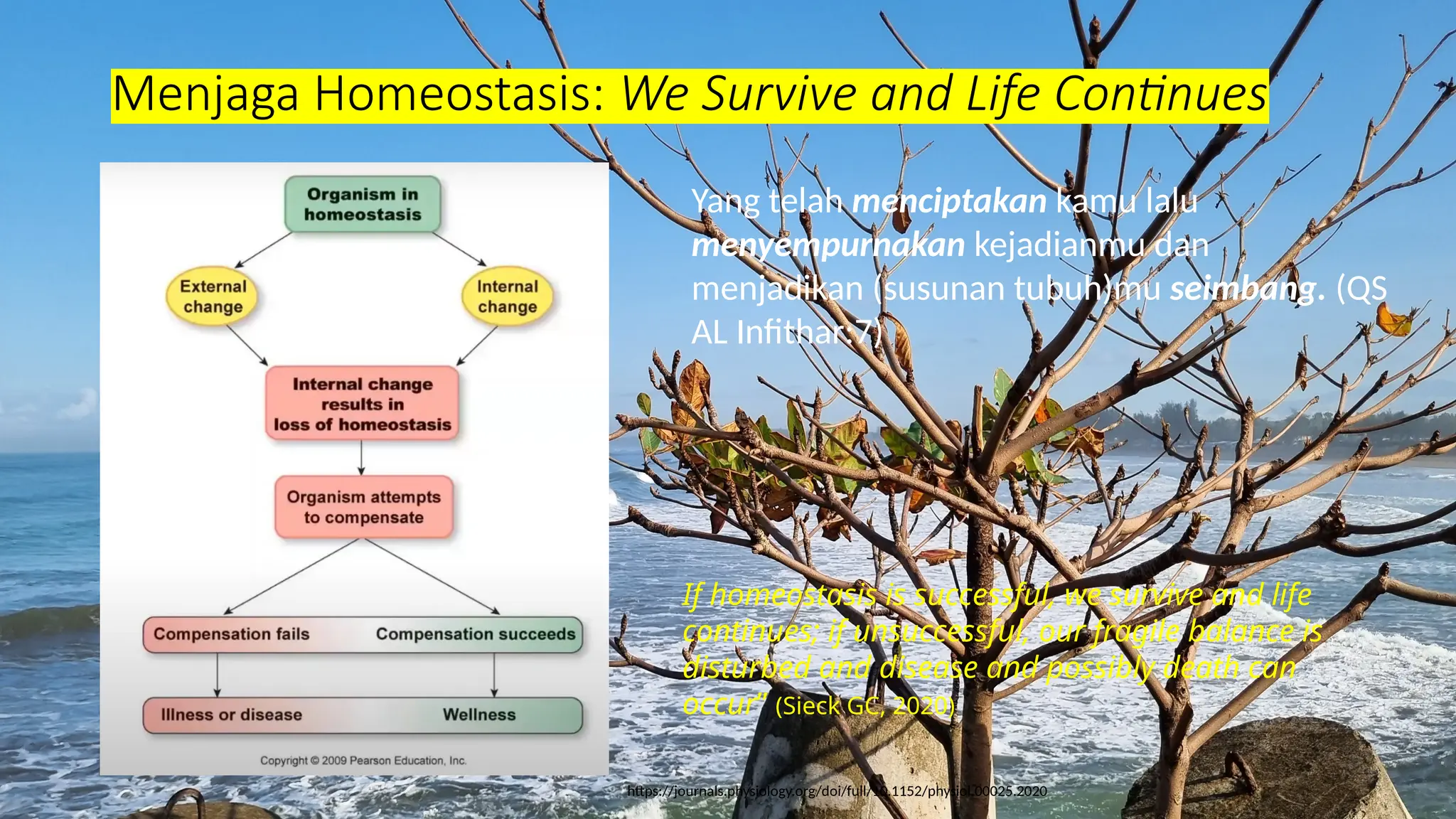 Menjaga Homeostasis: We Survive and Life Continues
Yang telah menciptakan kamu lalu
menyempurnakan kejadianmu dan
menjadikan (susunan tubuh)mu seimbang. (QS
AL Infithar:7)
If homeostasis is successful, we survive and life
continues; if unsuccessful, our fragile balance is
disturbed and disease and possibly death can
occur” (Sieck GC, 2020)
https://journals.physiology.org/doi/full/10.1152/physiol.00025.2020
 