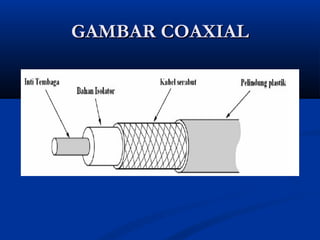 GGAAMMBBAARR CCOOAAXXIIAALL 
 