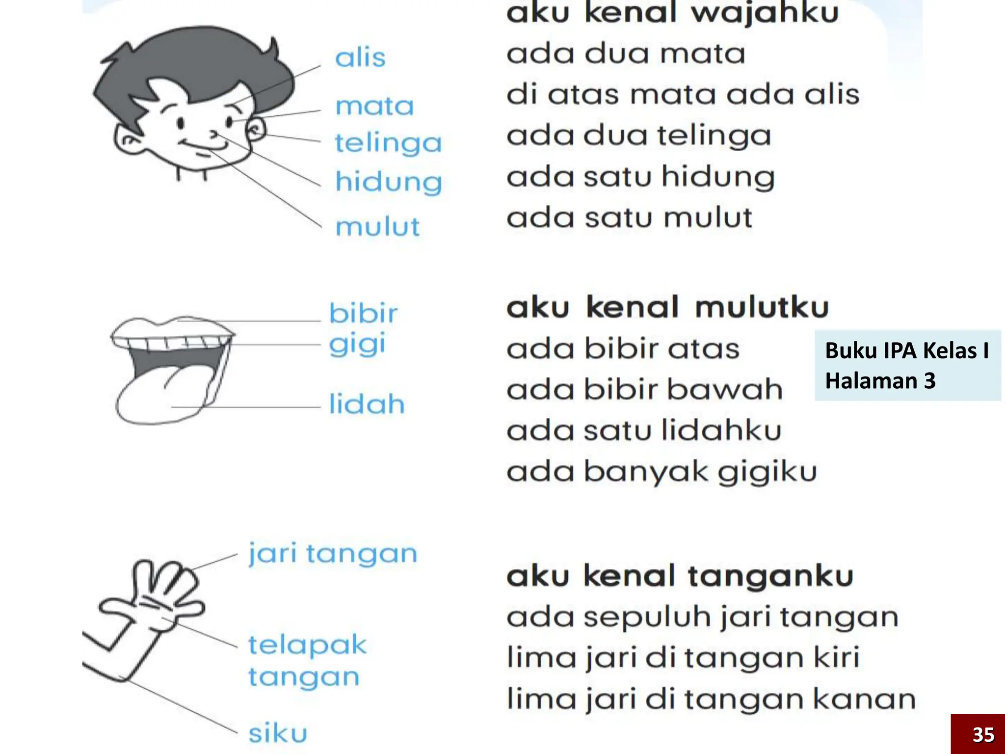 Buku IPA Kelas I
Halaman 3
35
 