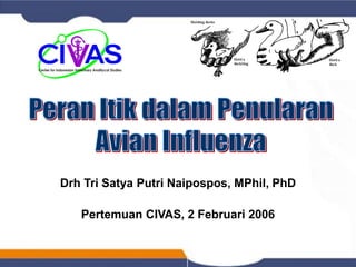 Drh Tri Satya Putri Naipospos, MPhil, PhD
Pertemuan CIVAS, 2 Februari 2006
 
