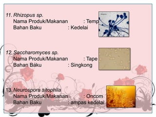 11. Rhizopus sp.
Nama Produk/Makanan
: Tempe
Bahan Baku
: Kedelai

12. Saccharomyces sp.
Nama Produk/Makanan
: Tape
Bahan Baku
: Singkong

13. Neurospora sitophila
Nama Produk/Makanan
: Oncom
Bahan Baku
: ampas kedelai

 
