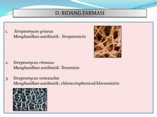 D. BIDANG FARMASI

1.

Streptomyces griseus
Menghasilkan antibiotik: Streptomicin

2.

Streptomyces rimosus
Manghasilkan antibiotik: Teramisin

3.

Streptomyces venezuelae
Menghasilkan antibiotik: chloracimphenicol/kloromisitin

 