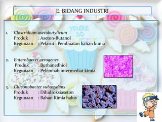 E. BIDANG INDUSTRI

1.

Clostridium asetobutylicum
Produk
: Aseton-Butanol
Kegunaan : Pelarut : Pembuatan bahan kimia

2.

Enterobacter aerogenes
Produk
: Buthanedhiol
Kegunaan : Pelembab intermediat kimia

3.

Gluconobacter suboxydans
Produk
: Dihidroksiaseton
Kegunaan : Bahan Kimia halus

 