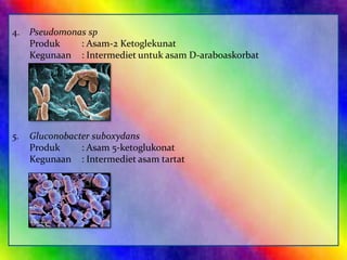 4. Pseudomonas sp
Produk
: Asam-2 Ketoglekunat
Kegunaan : Intermediet untuk asam D-araboaskorbat

5.

Gluconobacter suboxydans
Produk
: Asam 5-ketoglukonat
Kegunaan : Intermediet asam tartat

 