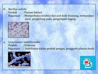 8. Bacillus subtilis
Produk
: Protase bakteri
Kegunaan : Memperhalus struktur dan urat kulit binatang, melepaskan
serat, penghilang noda, pengempuk daging

9. Leuconostoc mesenteroides
Produk
: Dekstran
Kegunaan : Stabilisator dalam produk pangan, pengganti plasma darah

 