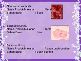 2. Streptococcus lactis
Nama Produk/Makanan
: Mentega
Bahan Baku
: Susu

3. Lactobacillus sp.
Nama Produk/Makanan
: Terasi
Bahan Baku
: Ikan

4. Lactobacillus sp.
Nama Produk/Makanan
: Asinan buah-buahan
Bahan Baku
: Buah-buahan

 