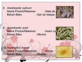 8. Acetobacter xylinum
Nama Produk/Makanan
: Nata de coco
Bahan Baku
: Sari air kelapa

9. Acetobacter aceti
Nama Produk/Makanan
: Asam cuka
Bahan Baku
: Alkohol

10. Aspergillus oryzae
Nama Produk/Makanan
: Kecap
Bahan Baku
: Kedelai

 