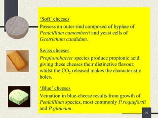 ‘Soft’ cheeses
Possess an outer rind composed of hyphae of
Penicillium camemberti and yeast cells of
Geotrichum candidum.
Swiss cheeses
Propionobacter species produce propionic acid
giving these cheeses their distinctive flavour,
whilst the CO2 released makes the characteristic
holes.
‘Blue’ cheeses
Veination in blue-cheese results from growth of
Penicillium species, most commonly P.roquefortii
and P.glaucum.
29
 