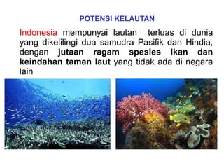 Indonesia mempunyai lautan terluas di dunia
yang dikelilingi dua samudra Pasifik dan Hindia,
dengan jutaan ragam spesies ikan dan
keindahan taman laut yang tidak ada di negara
lain
POTENSI KELAUTAN
 