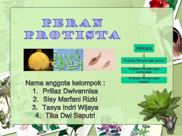Peran Protista