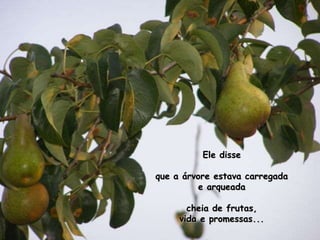 Ele disse que a árvore estava carregada e arqueadacheia de frutas, vida e promessas...