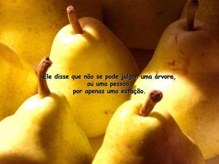 Ele disse que não se pode julgar uma árvore, ou uma pessoa, por apenas uma estação. 