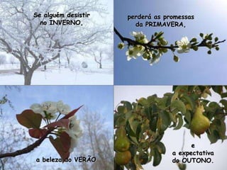 Se alguém desistir no INVERNO,perderá as promessas da PRIMAVERA,e a expectativa do OUTONO.a beleza do VERÃO