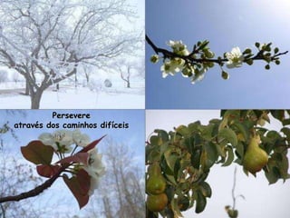 Persevere através dos caminhos difíceis