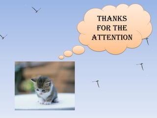 THANKS
FOR THE
ATTENTION

 