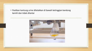 • Pastikan kantung urine diletakkan di bawah ketinggian kandung
kemih dan tidak dilantai
 