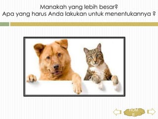 Manakah yang lebih besar?
Apa yang harus Anda lakukan untuk menentukannya ?
HOME
 