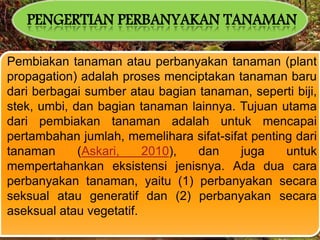 PENGERTIAN PERBANYAKAN TANAMAN
Pembiakan tanaman atau perbanyakan tanaman (plant
propagation) adalah proses menciptakan tanaman baru
dari berbagai sumber atau bagian tanaman, seperti biji,
stek, umbi, dan bagian tanaman lainnya. Tujuan utama
dari pembiakan tanaman adalah untuk mencapai
pertambahan jumlah, memelihara sifat-sifat penting dari
tanaman (Askari, 2010), dan juga untuk
mempertahankan eksistensi jenisnya. Ada dua cara
perbanyakan tanaman, yaitu (1) perbanyakan secara
seksual atau generatif dan (2) perbanyakan secara
aseksual atau vegetatif.
 