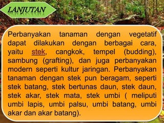 LANJUTAN
Perbanyakan tanaman dengan vegetatif
dapat dilakukan dengan berbagai cara,
yaitu , cangkok, tempel (budding),
sambung (grafting), dan juga perbanyakan
modern seperti kultur jaringan. Perbanyakan
tanaman dengan stek pun beragam, seperti
stek batang, stek bertunas daun, stek daun,
stek akar, stek mata, stek umbi ( meliputi
umbi lapis, umbi palsu, umbi batang, umbi
akar dan akar batang).
 