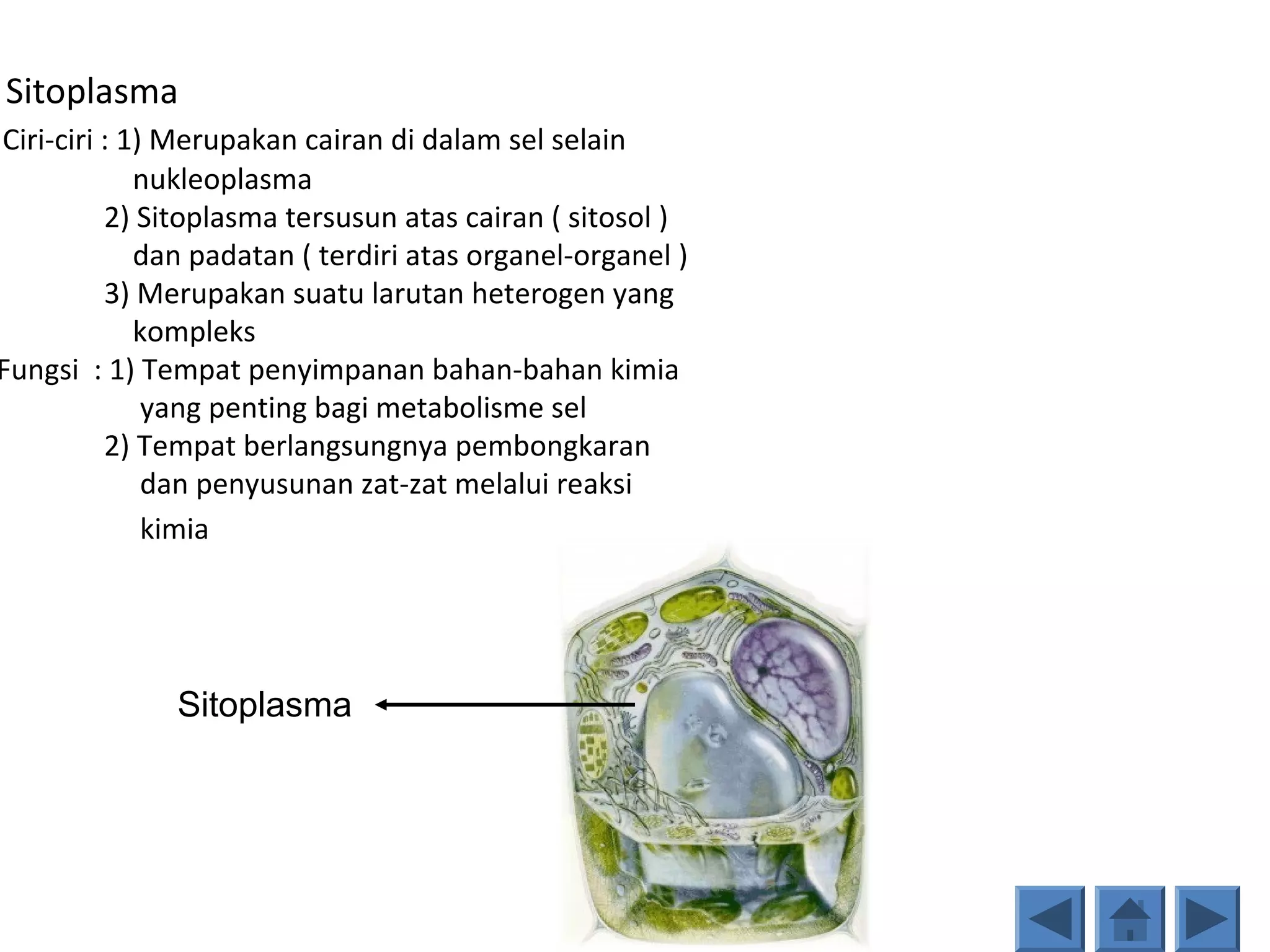 Perbedaan sel hewan dan tumbuhan | PPT