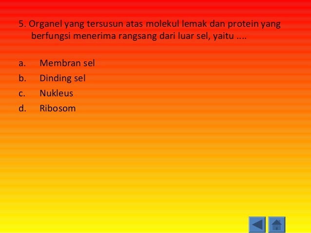 Perbedaan Sel Hewan Dan Tumbuhan