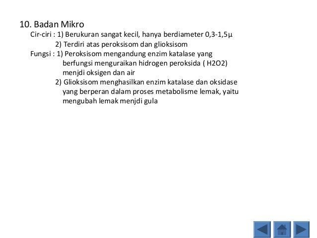  Perbedaan  sel hewan  dan  tumbuhan