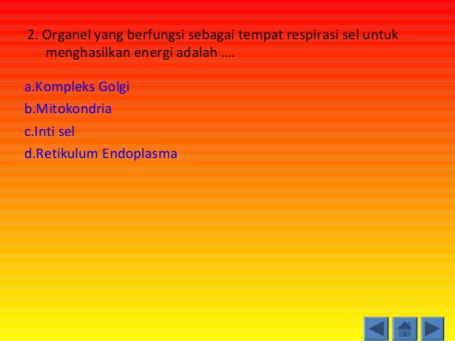 Perbedaan sel  hewan  dan tumbuhan